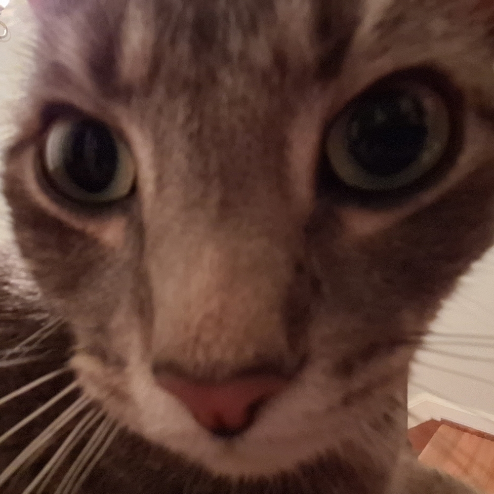 Meet your Posher, Aidan